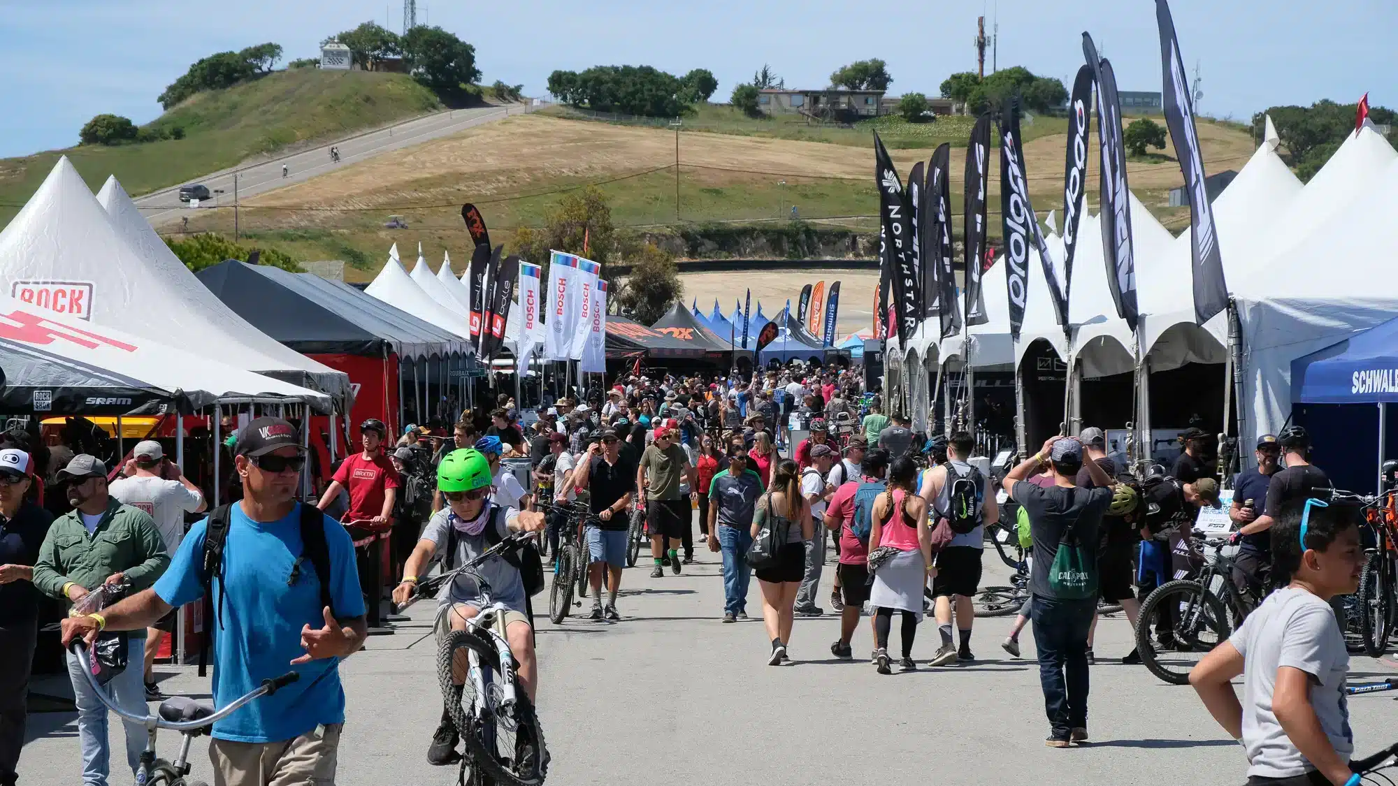 SEA OTTER CLASSIC