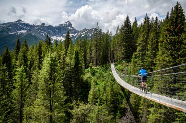 Blackshale Creek Suspension Bridge, Peter Lougheed Provincial Park